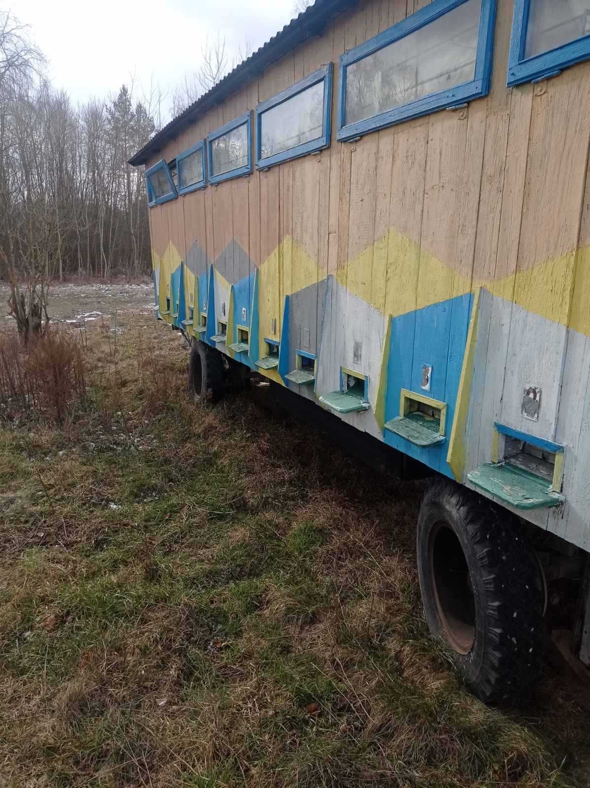 бджолопавільйон / бджолиний павільйон