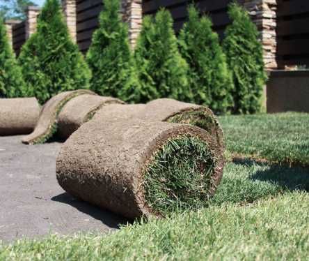 Рулонный газон – укладка живой газонной травы Автополив