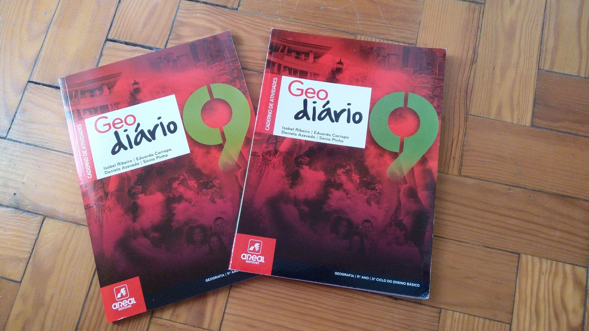 Livros 9° ano actualizados (4€ cada)