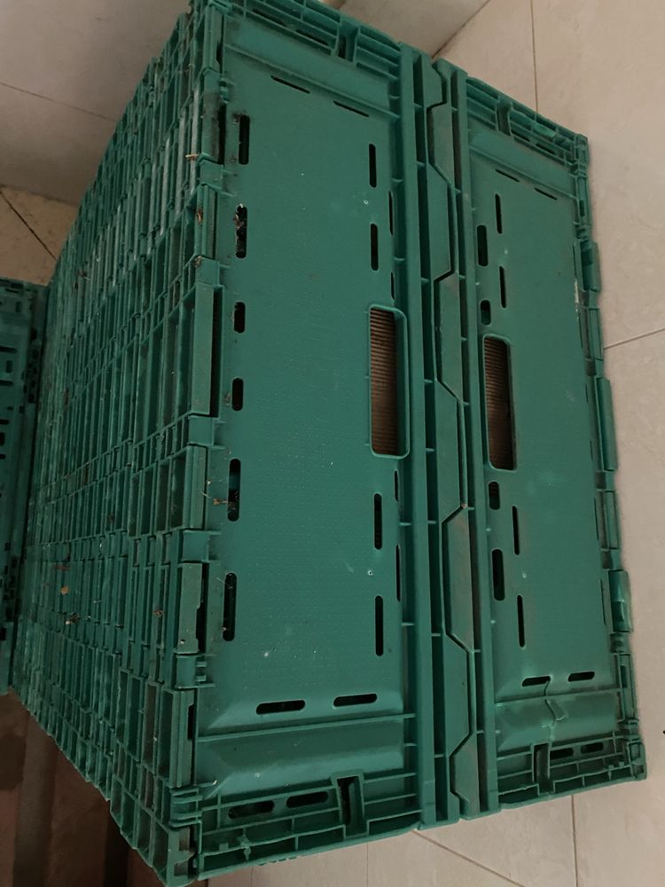 Caixas verdes plásctico