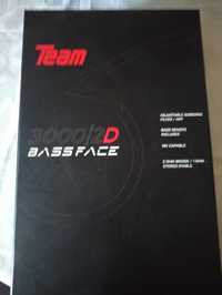 Bassface team 300/2 ( 1 x 2 ohm3000 RMS)