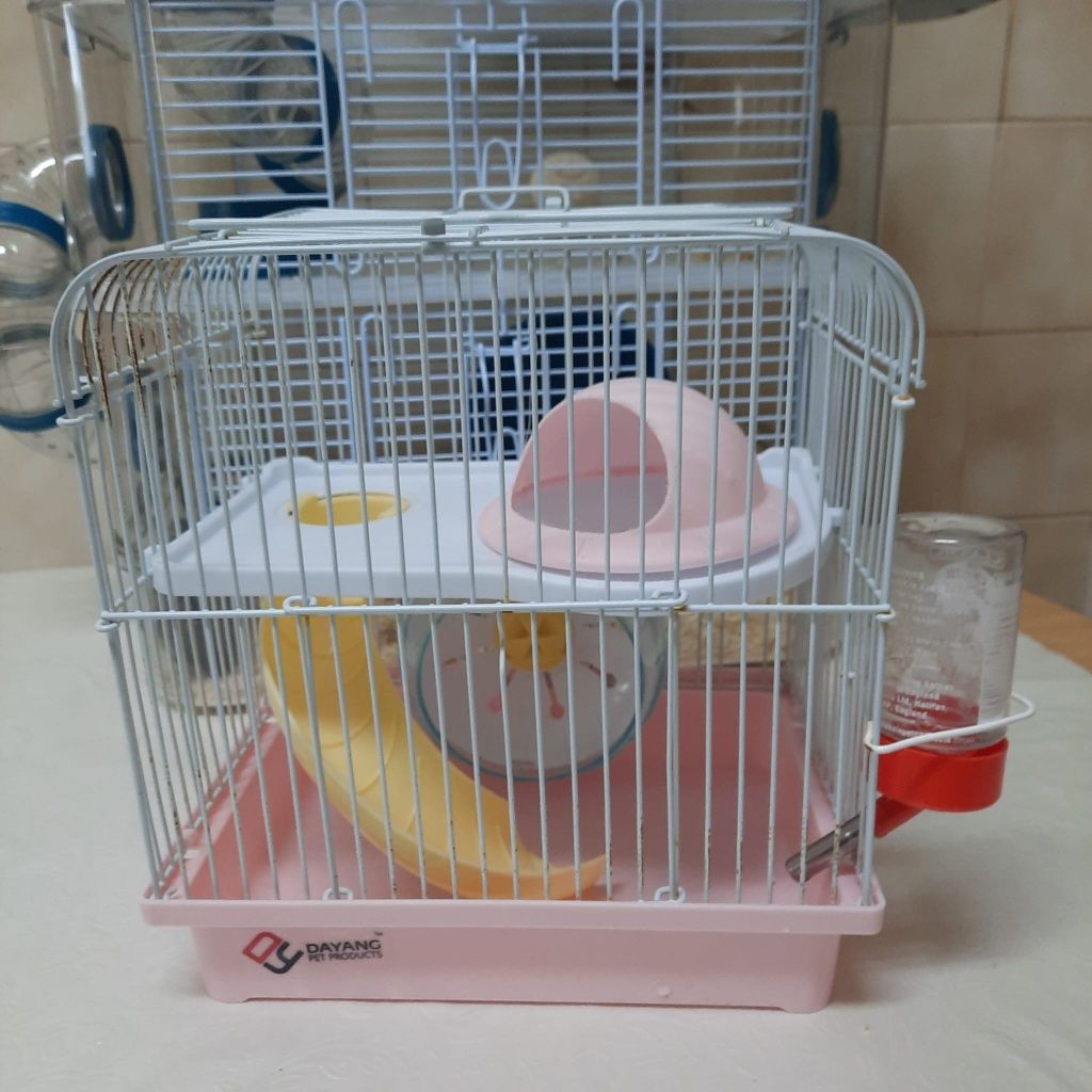 Hamster com kit completo e gaiola pequena de oferta