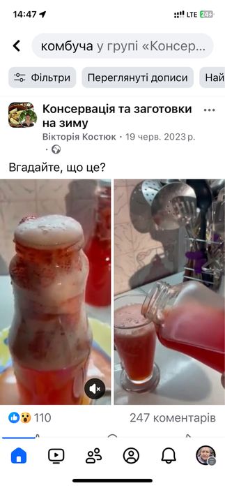 Чайний гриб/комбуча на 1л, 3л банку та на лимонадницю. Домашній квас.