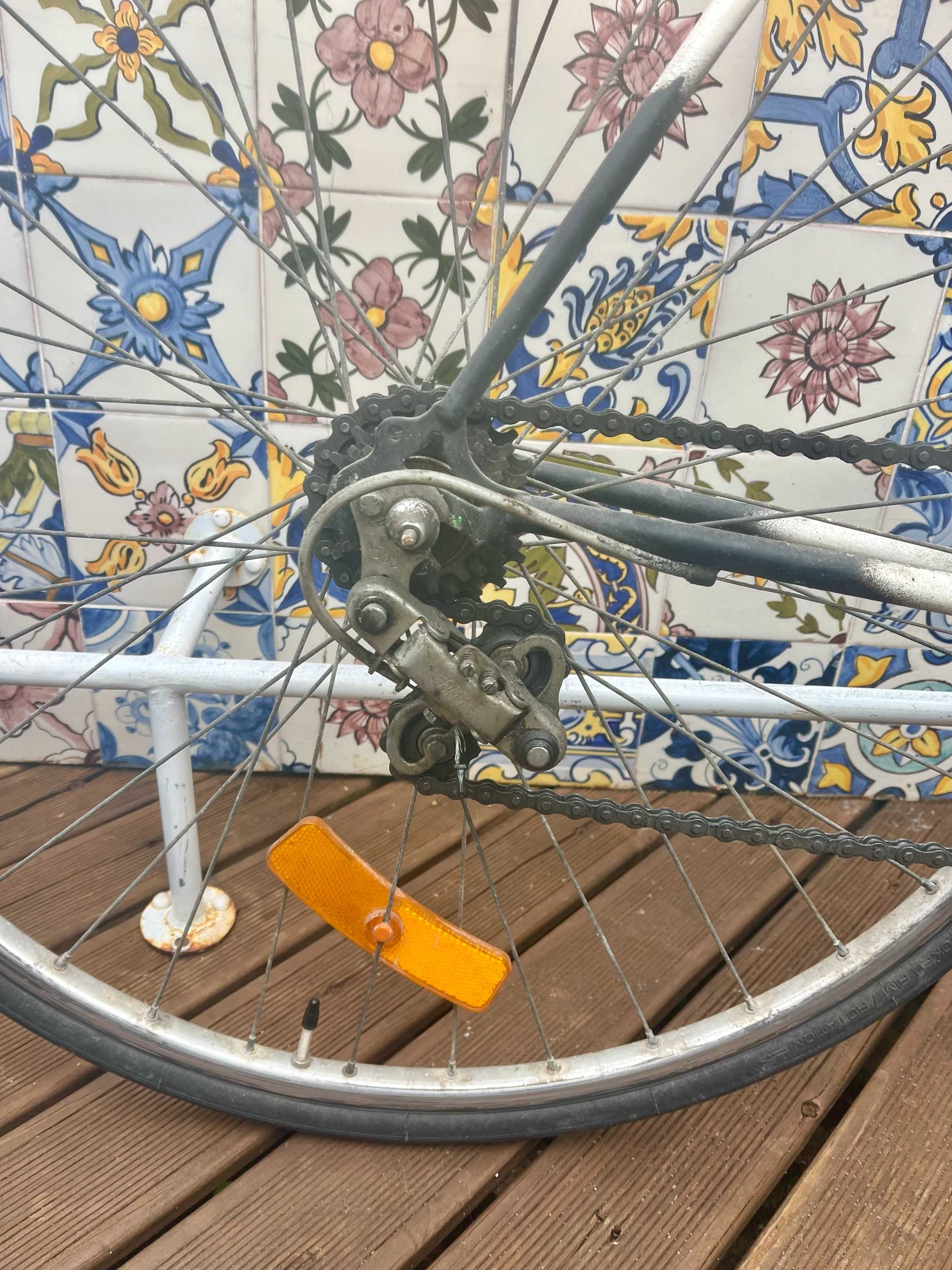 Bicicleta Esmaltina Vintage