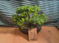 Sztuczne drzewko typu bonsai kik