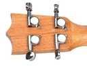 Ukulele koncertowe Segovia SE-10C NT