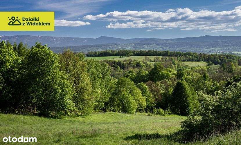Pasiecznik - działka budowlana 10 min od Jeleniej Góry!