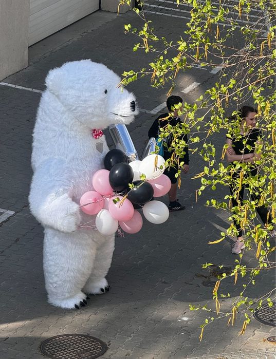 Bialy Miś i Panda wynajem  na urodziny komunie chrzciny zabawy festyn