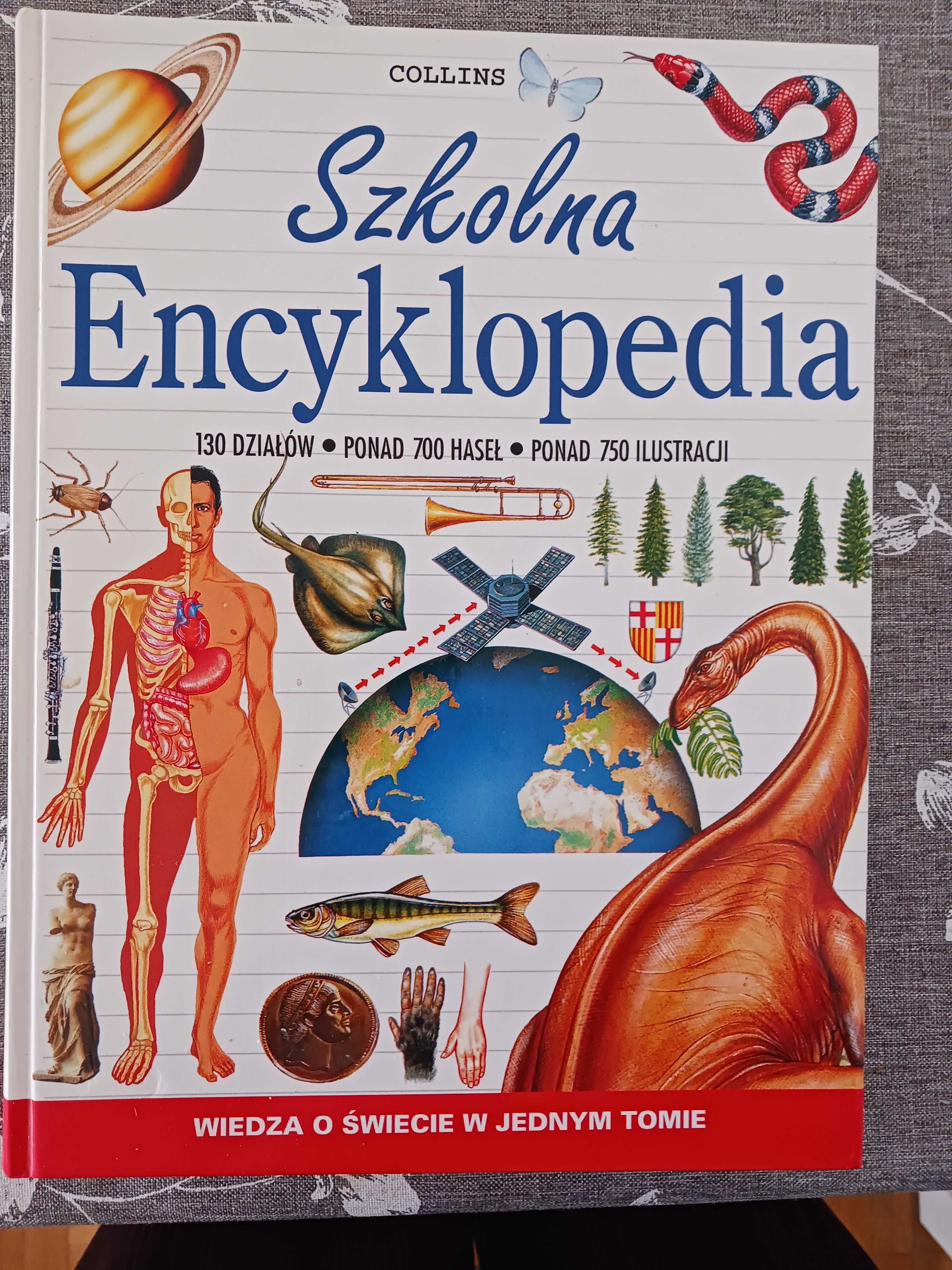 Szkolna Encyklopedia - John Farndon