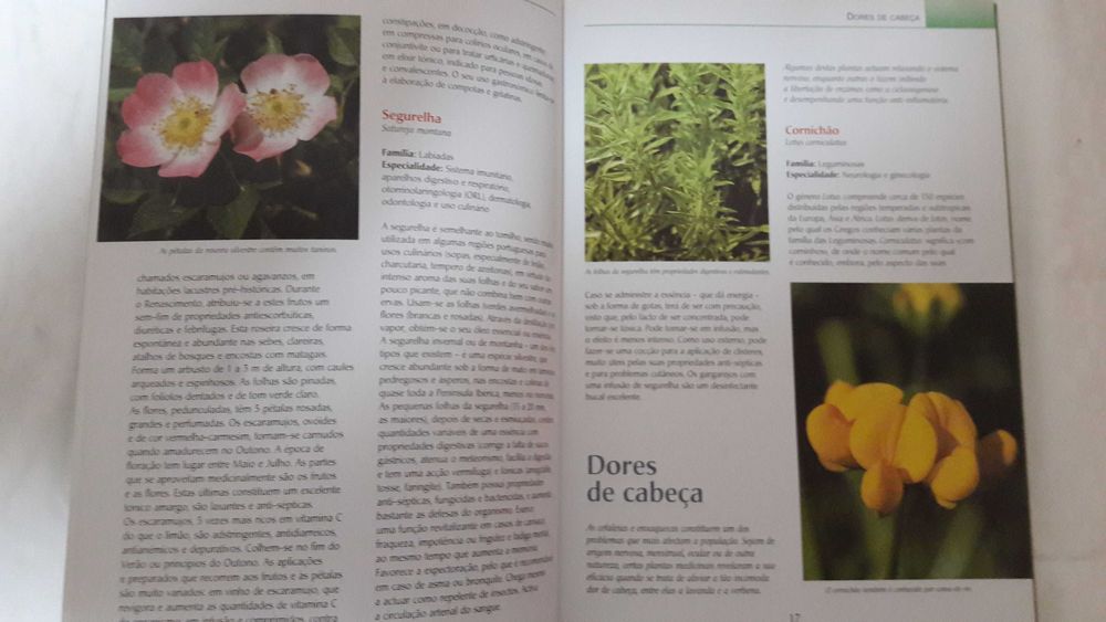 Novo Guia das Plantas Medicinais