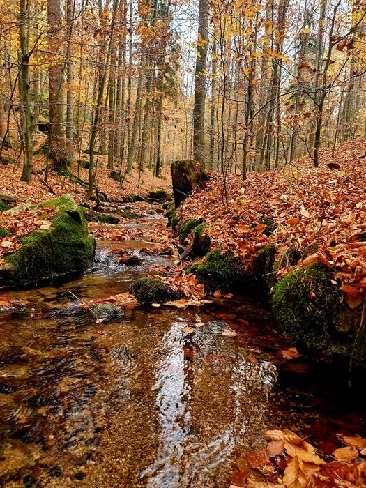Nocleg kwatera mieszkanie Apartament nr 16 Szklarska Poręba
