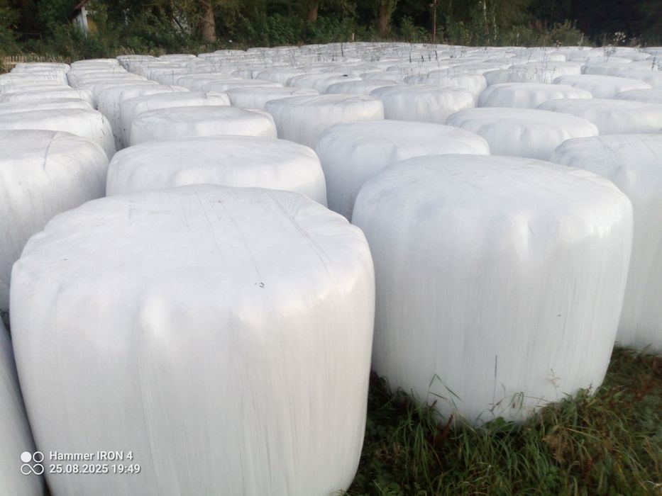 Sprzedam baloty siano kiszonki