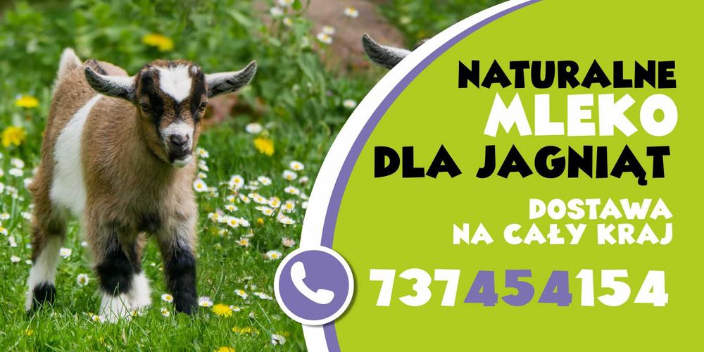 naturalne mleko  suszone dla kozlat jagniat wysyłka na całą Polske