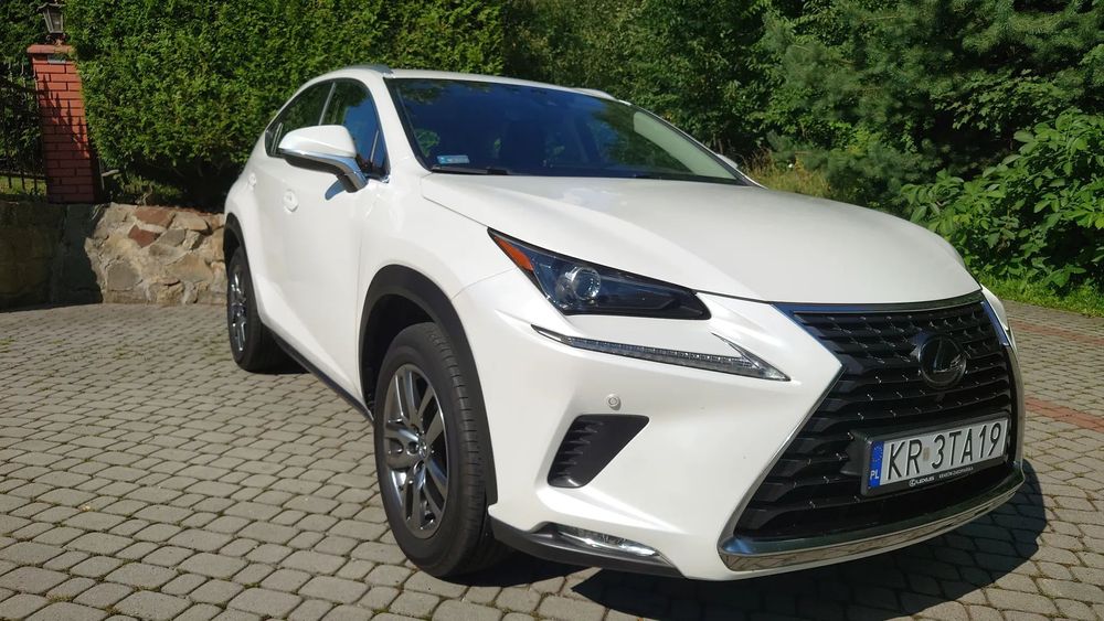 Lexus NX Salon Polska, pierwszy właściciel, 2.0 238 KM, 4x4