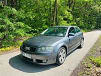 Audi A3 8P 2.0TDI