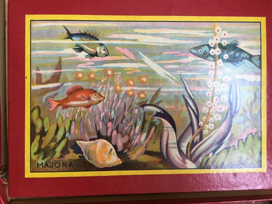 Jogo da Pesca muito raro anos 1940/50