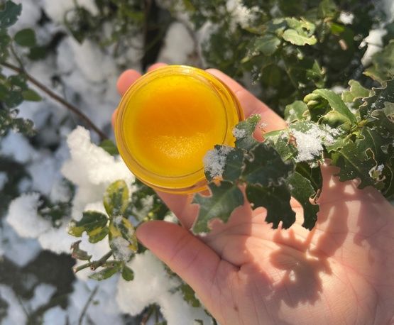 Balsam dla zwierząt regeneruje i nawilża skórę Francodex Biodene 50ml