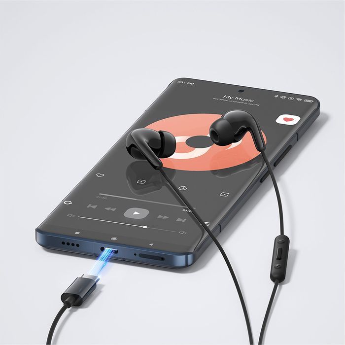 xiaomi type-c earphones, black