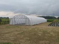 Tunel foliowy, tunele foliowe