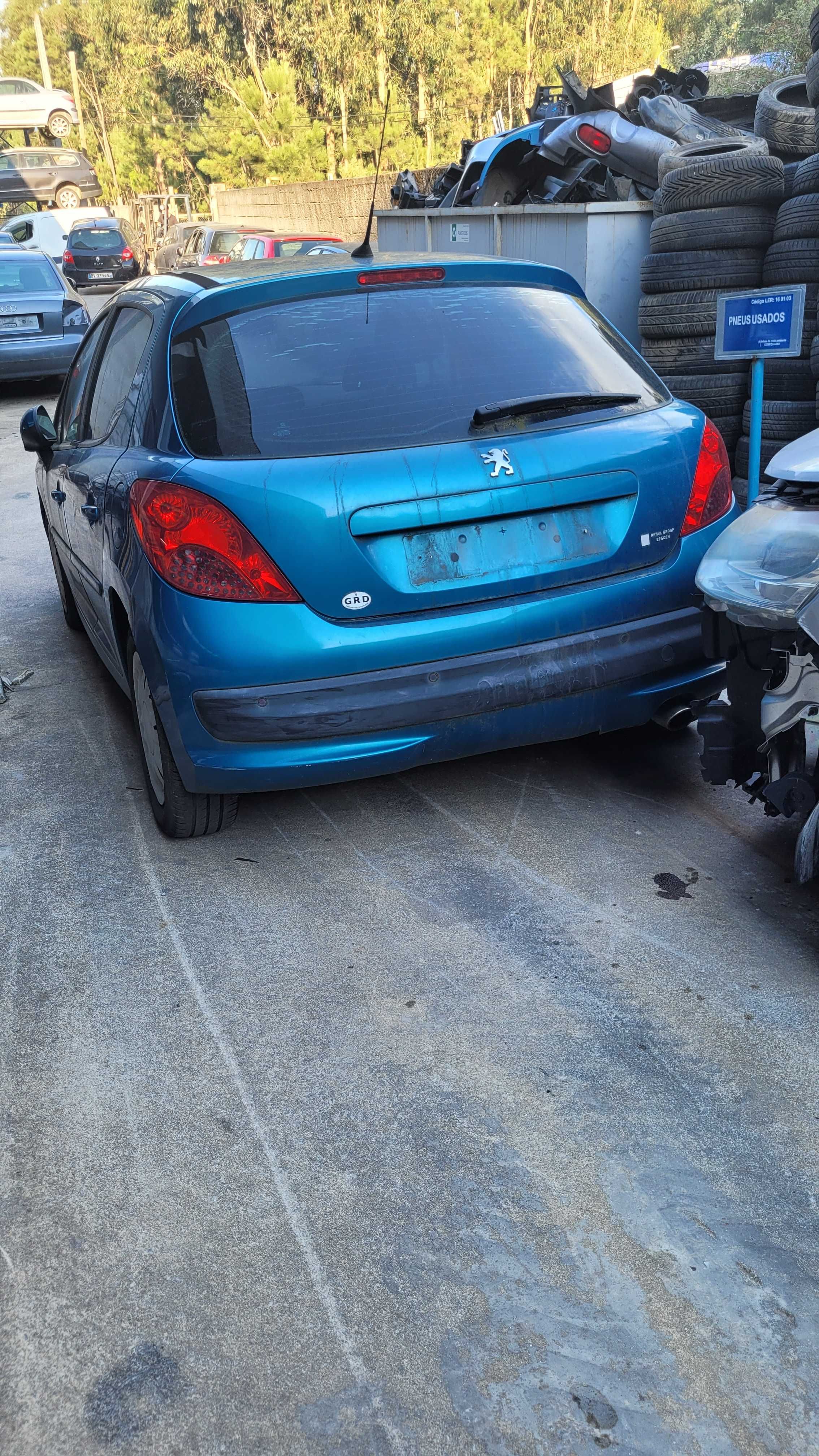 Peugeot 207 1.6 hdi 2010