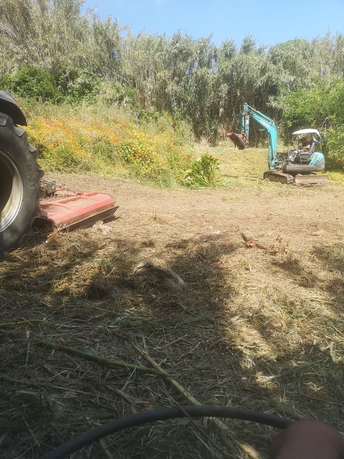 Limpezas manutenção de terrenos matas