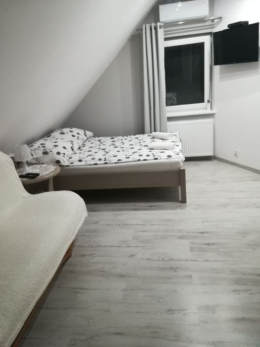 Pokoje + przewodnik po Puszczy Białowieskiej