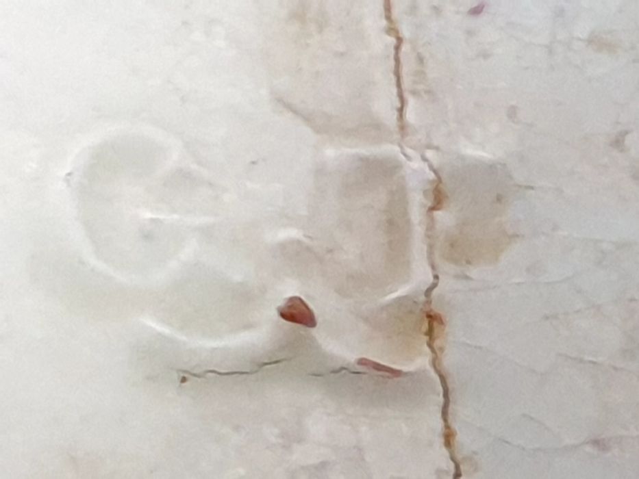 Rara antiga taça floreira de bonsai em faiança marcada