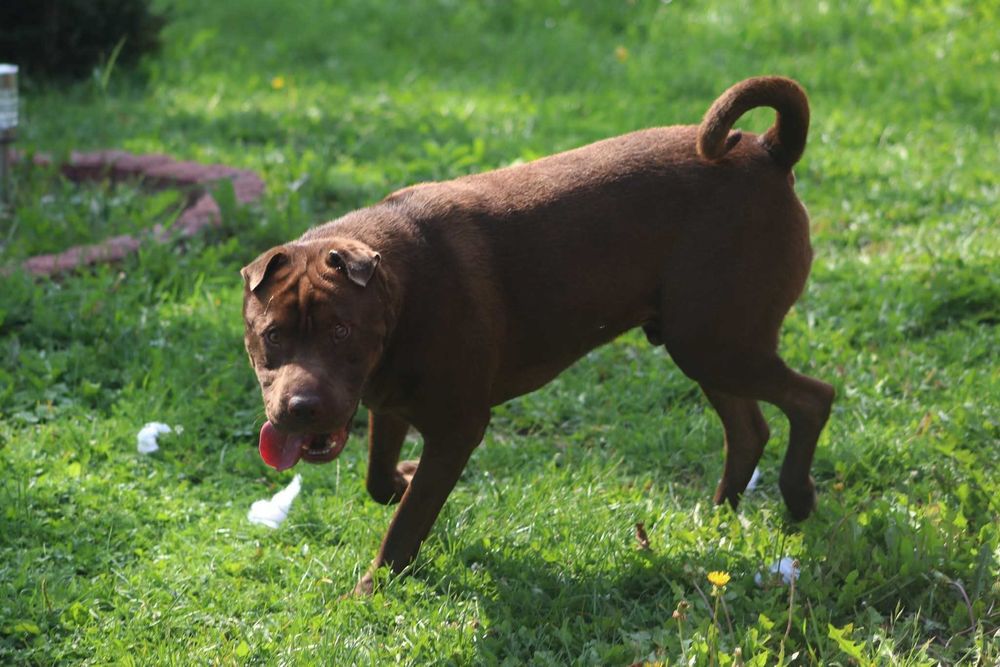 YUKI czeka na swojego czlowieka
