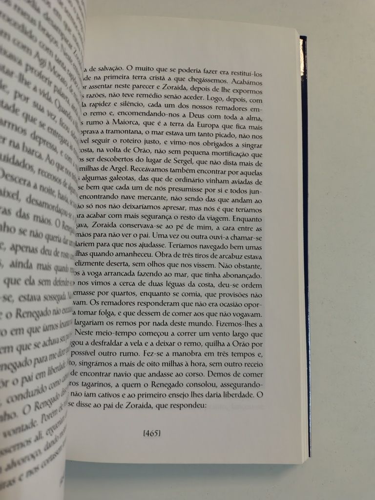 D. Quixote de La Mancha - Volume I