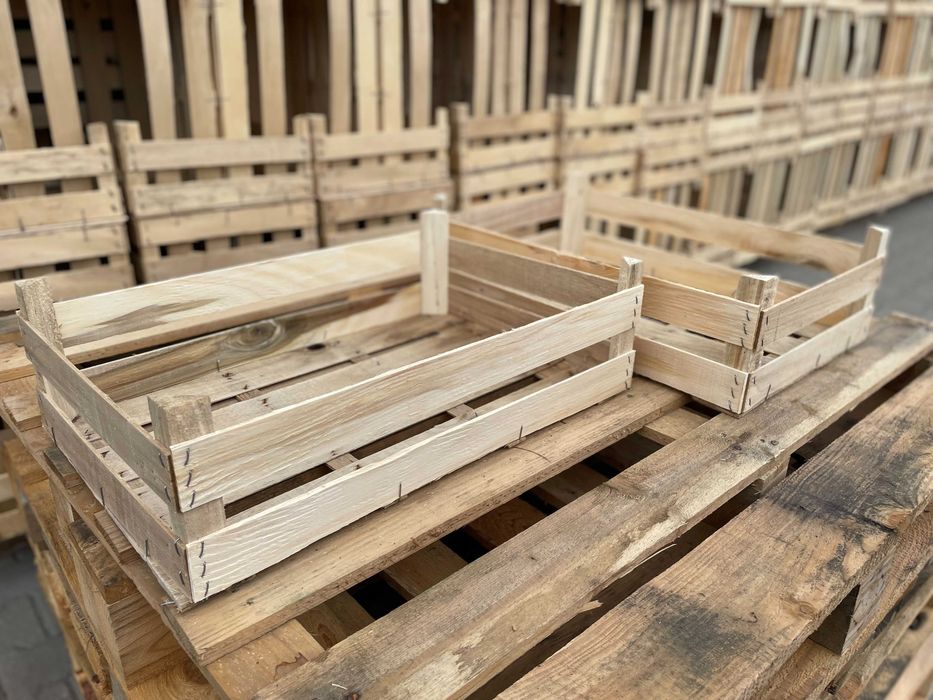 skrzynka, łuszczka-łuszczki na por, kalafior, sałata, rzodkiewka,