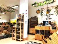 Oportunidade Única! Equipamentos e Mobiliário para Mercearia a Granel