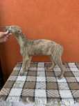 Chart Greyhound 8 tygodni