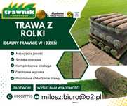 Trawa z rolki Trawnik Producent
Trawnik w rolce !
