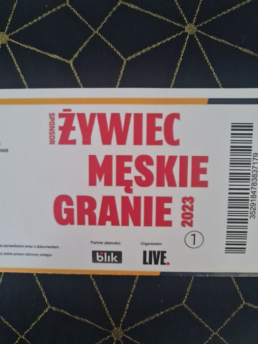 Męskie Granie 07.07 Warszawa