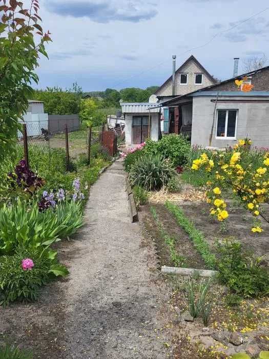 продам дом в районе ж/м Парус