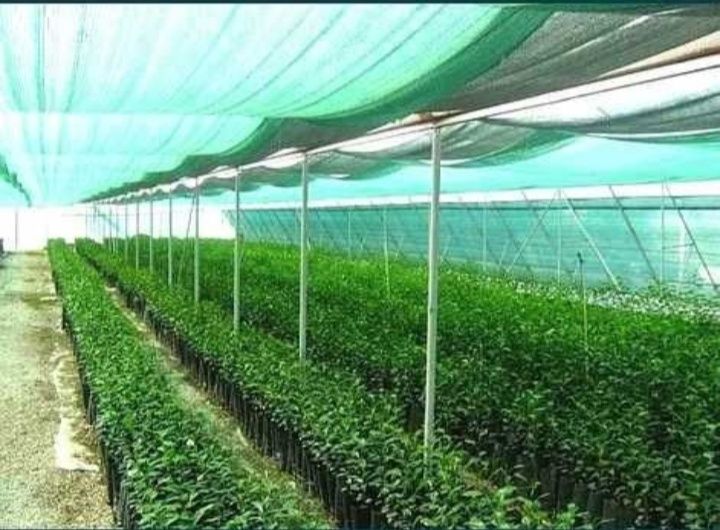 Сетка Затеняющая Сітка Затіняюча 70% 85% 95% 60% 45% 3м 4м 5м 6м 8м 12
