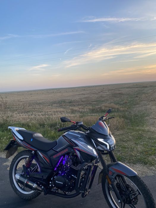 Musstang fortuna 200