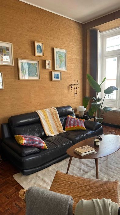 sofá de couro/leather couch