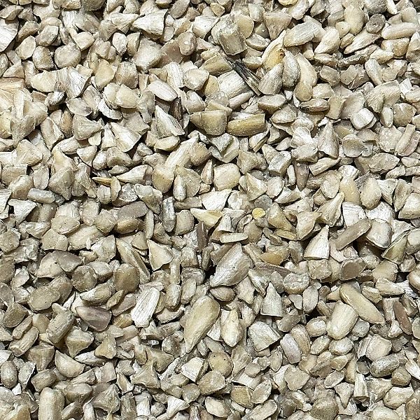 14kg SŁONECZNIK ŁUSKANY 99% ziarno na zimę karma zimowa Champi