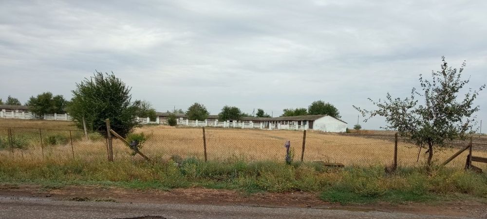 Продам отличный каменный дом в Арцизской ОТГ,Одесской обл.,море 50 км