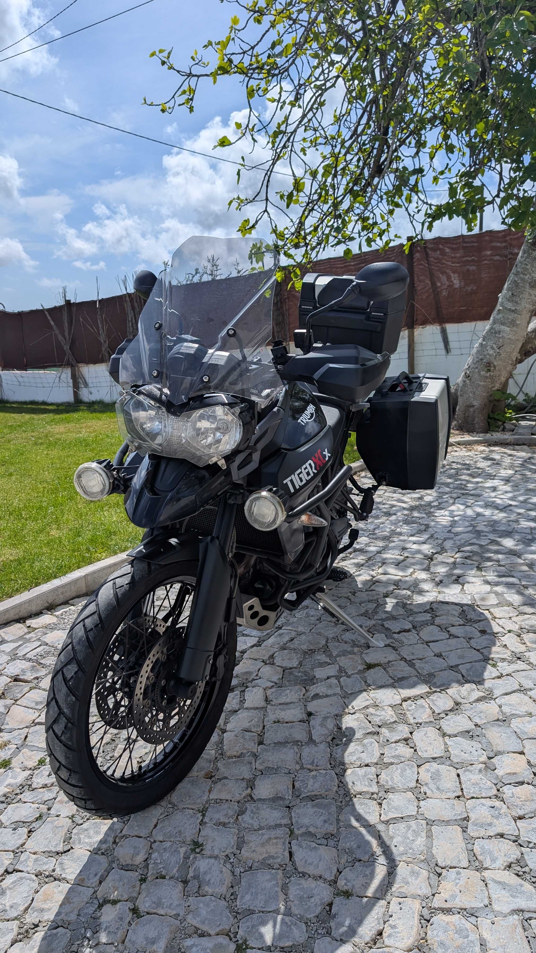 Triumph Tiger 800 XCX