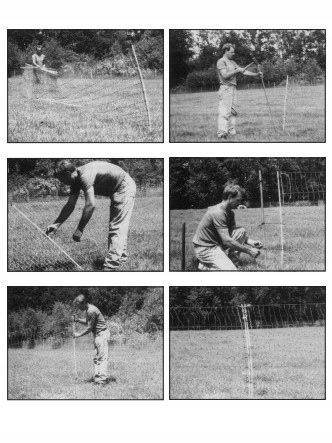 Siatka elektryczna dla drobiu na drób 112CM/50M PREMIUM pastuch