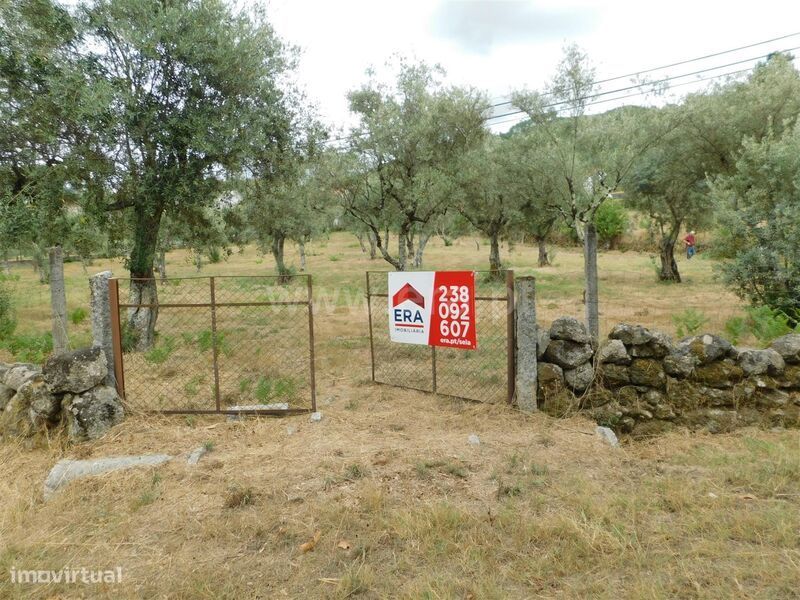 Terreno / Seia, Seia, São Romão e Lapa dos Dinheiros