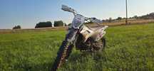 RFZ Apollo Lizzard 250