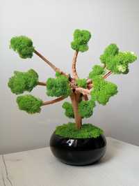 Drzewko bonsai z mchu