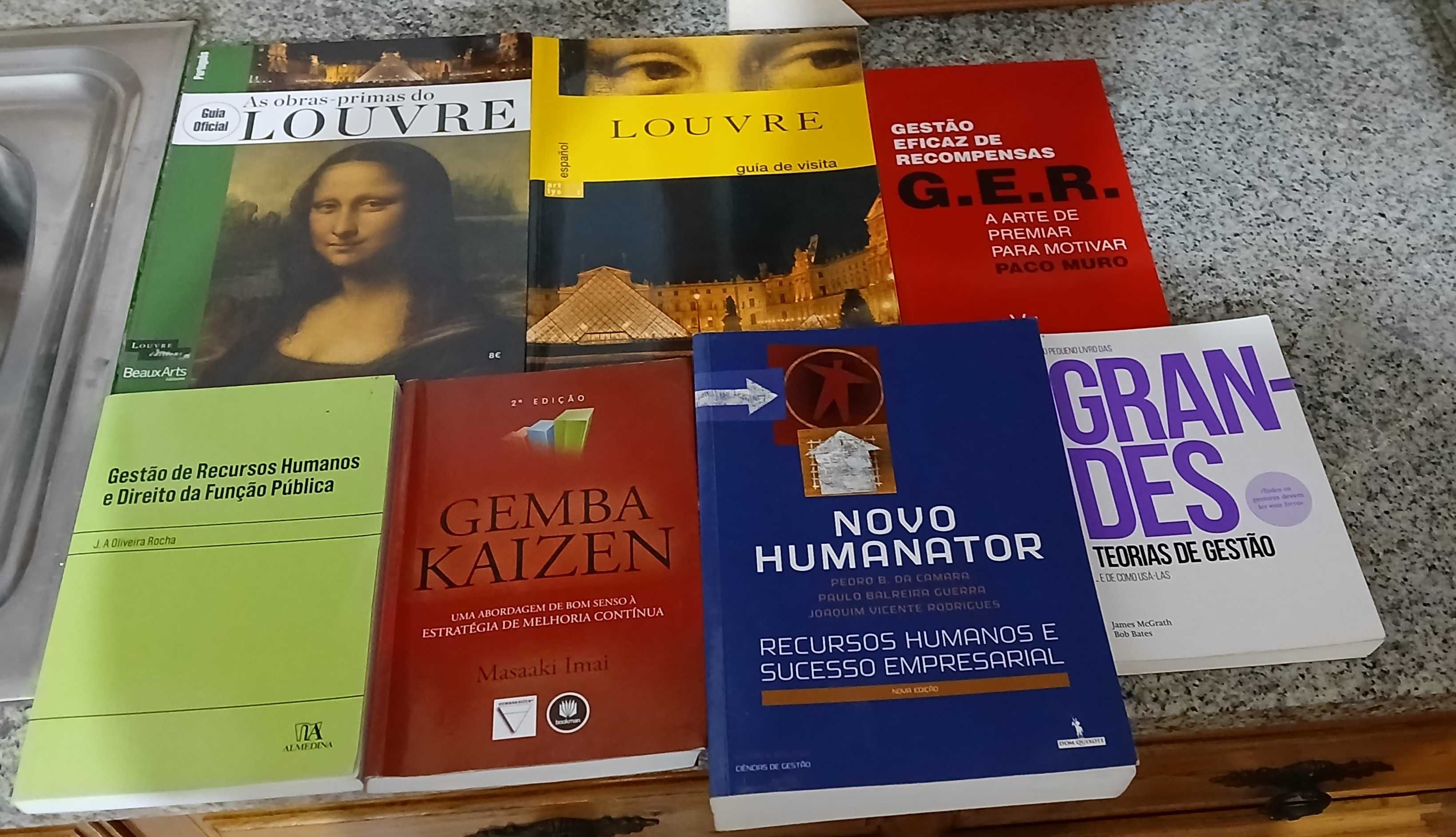 Lote de Livros sem anotacoes