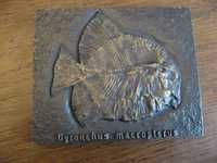 Metaloplastyka z brązu, prehistoryczna ryba, prestiżowy niem. wyrób