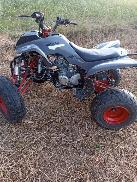 Sprzedam Bashan 200