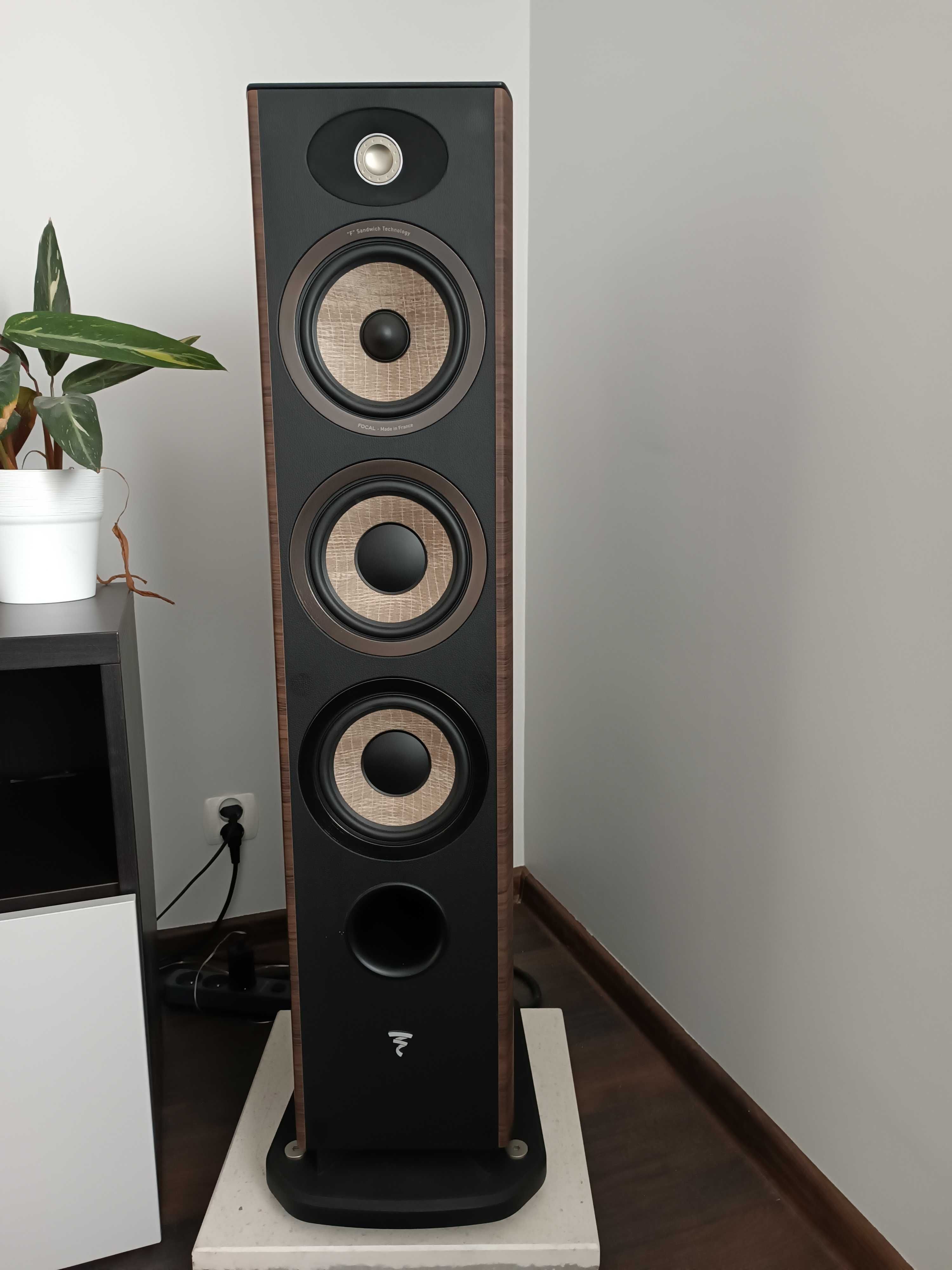 Focal Aria 926 - noyer