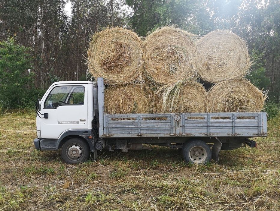 Bolas de palha azevem